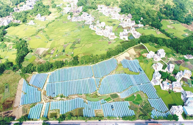 發展壯大 特色農業