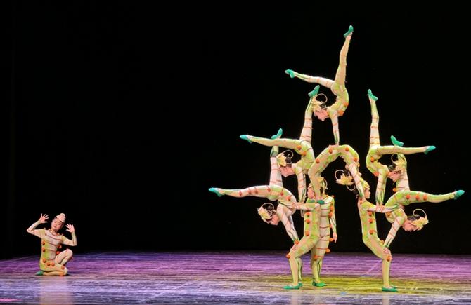 創意雜技劇《百越稻盛》亮相梧州